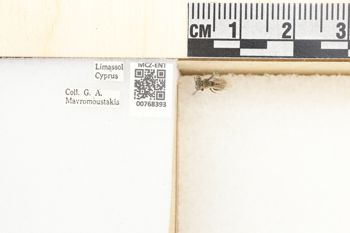 Media type: image;   Entomology 768393 Aspect: Labels